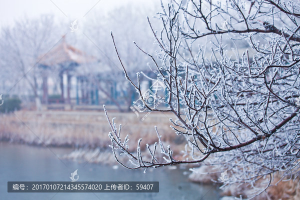 雾凇中的园林,冬日小景