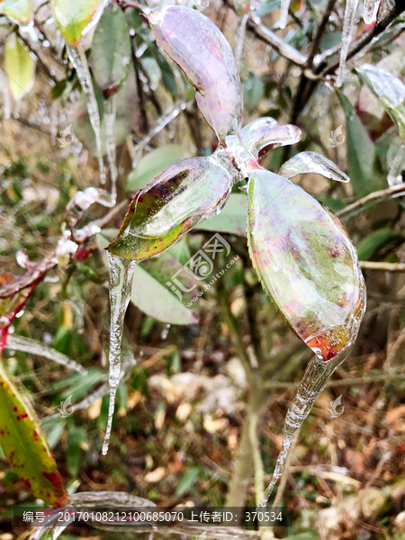 张家界,天门山,著名景点,旅游