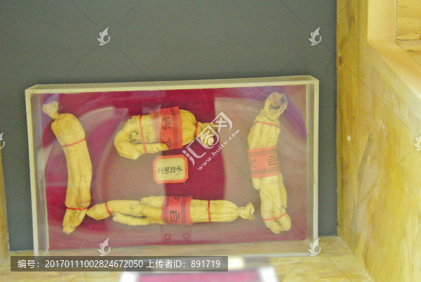 人参素材,中医,中药