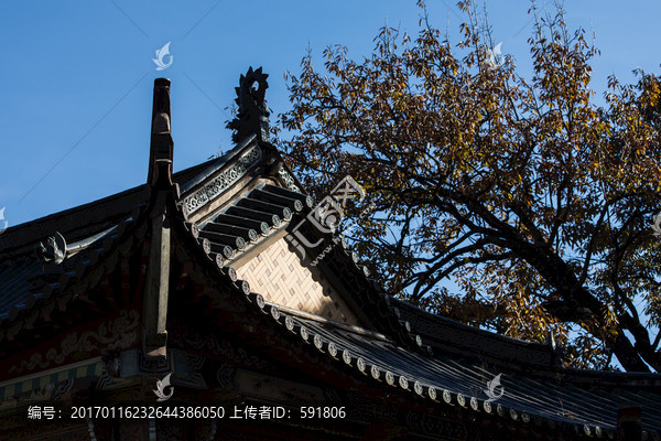 古建屋顶老树蓝天