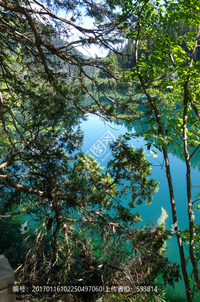 九寨沟高山湖泊森林树木