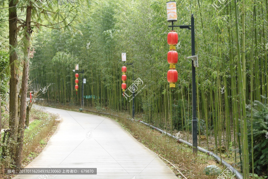林间小道