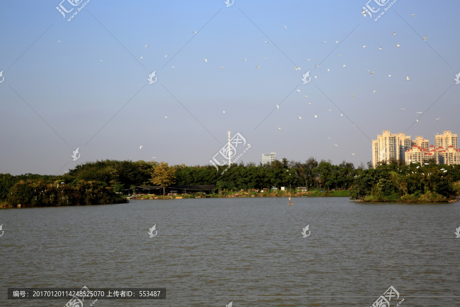 山水风景,城市建设,候鸟