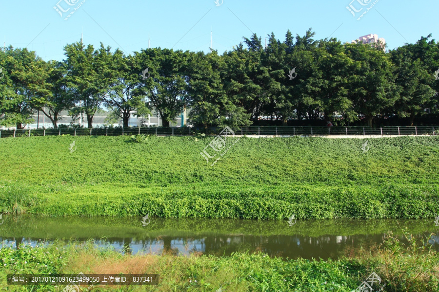 公园小河