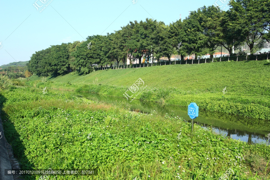 公园小河