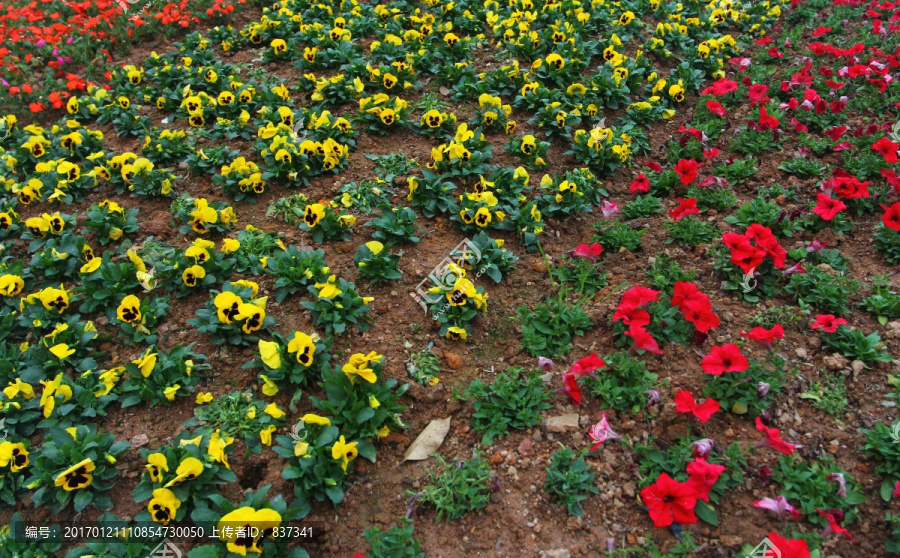 城市花草园艺