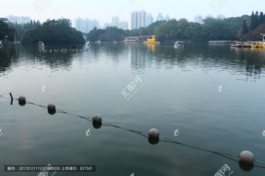 公园小湖