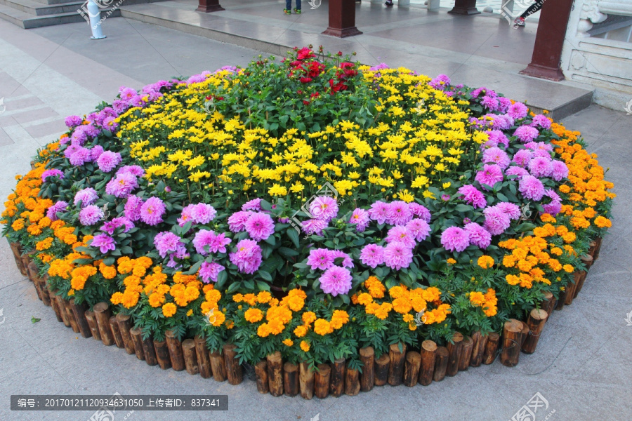 城市花草园艺