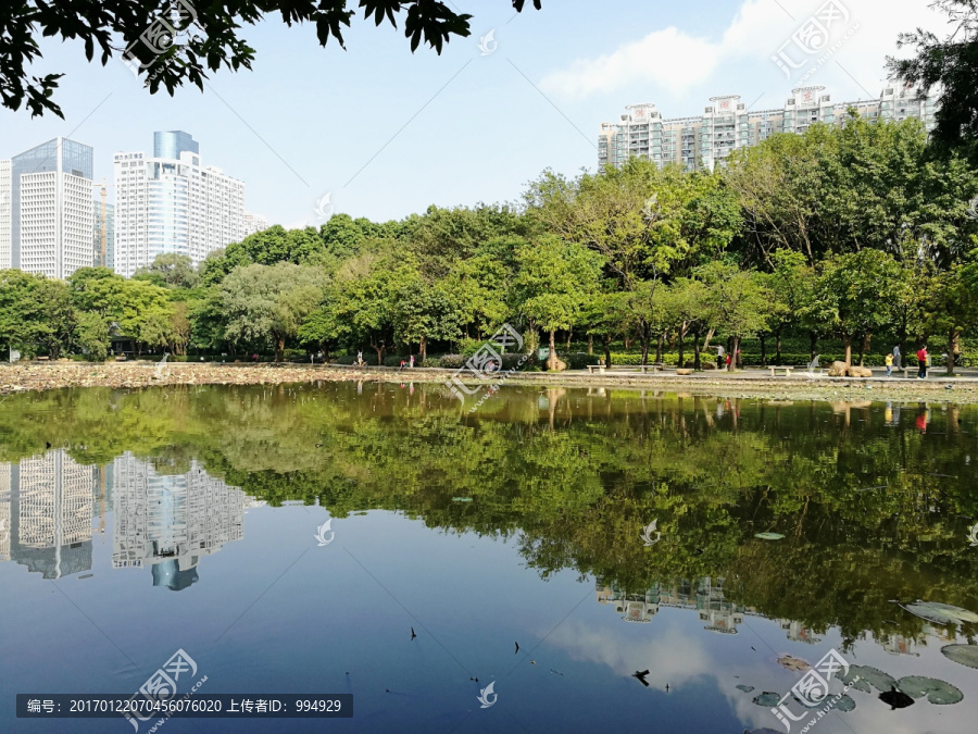 深圳市洪湖公园美景