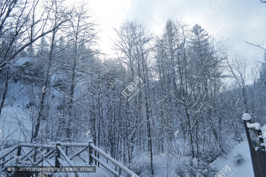 森林雪景