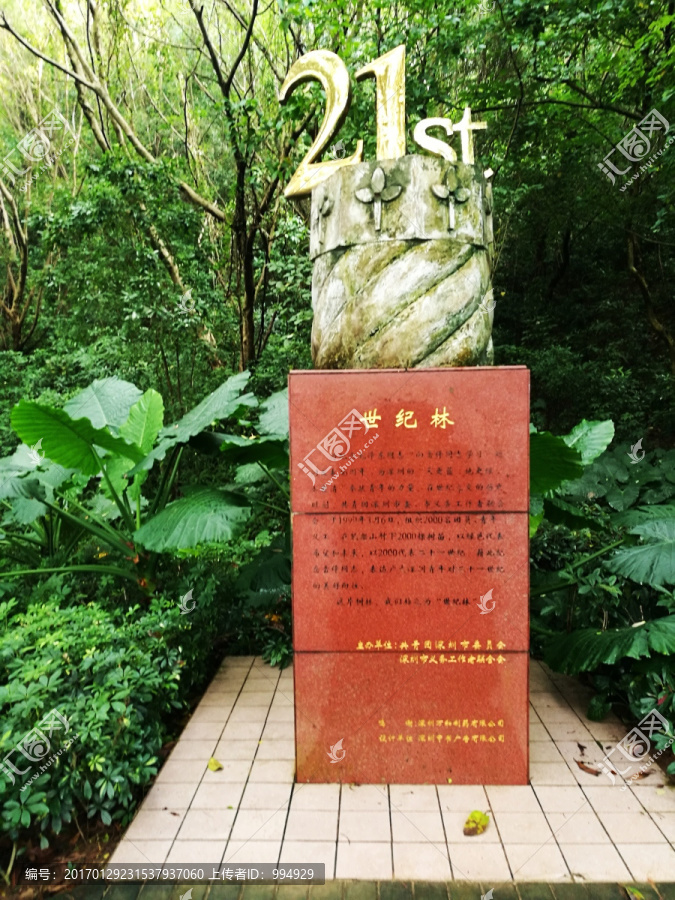 深圳笔架山21世纪林