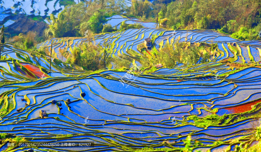 元阳梯田