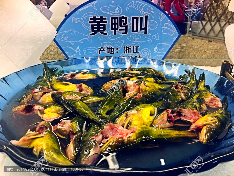 黄鸭叫,海鲜,水产品