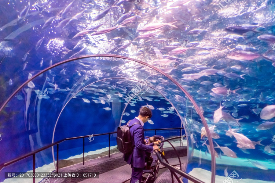 海底世界,鱼群,海洋水族馆