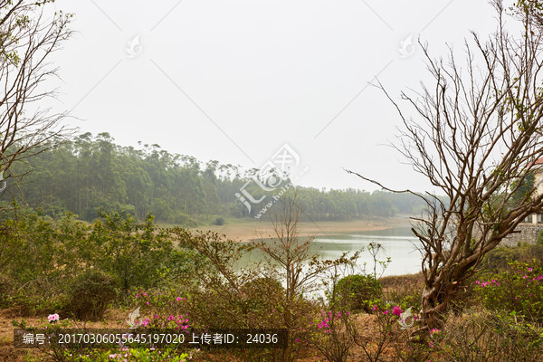 水边,桃花