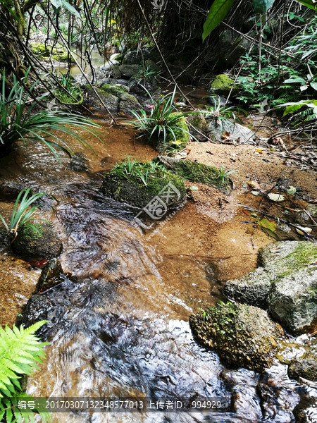 大自然天然泉水