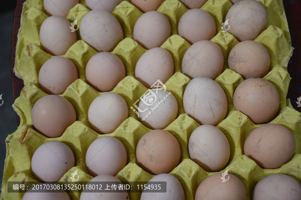 蛋,鸡蛋