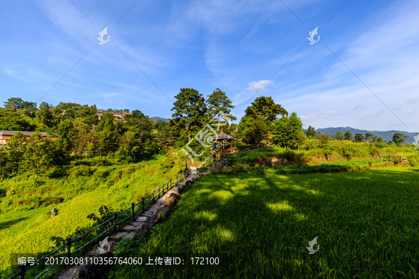 南岗排瑶寨沿途风景