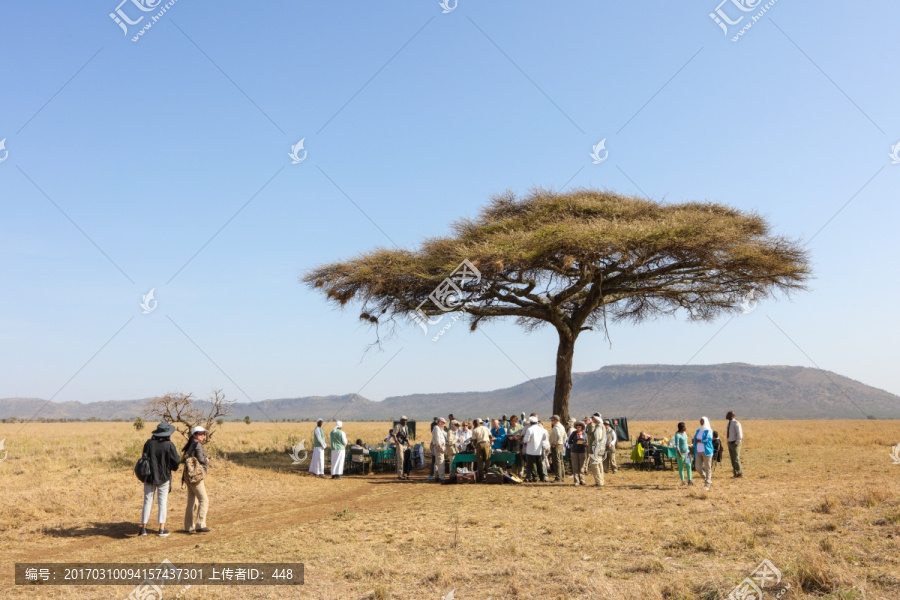 露天餐饮,草原餐饮,露天餐厅