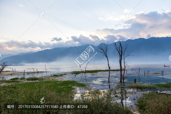 云南大理湿地