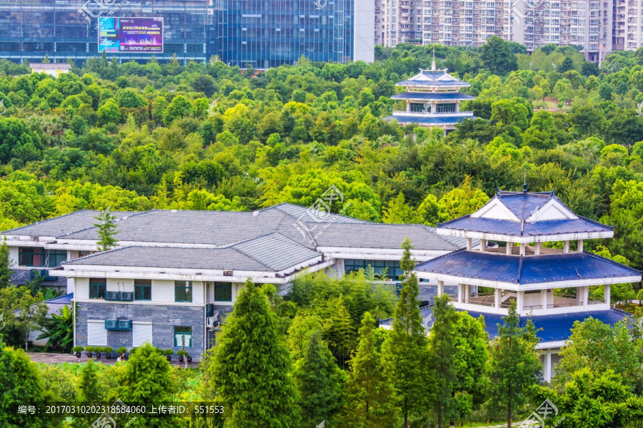 温州白鹿洲公园