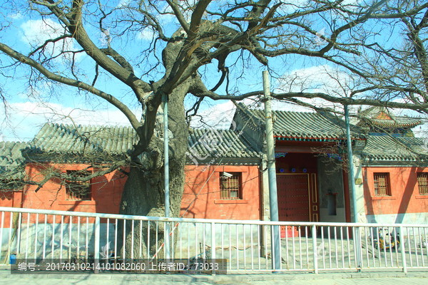 北京艺术博物馆