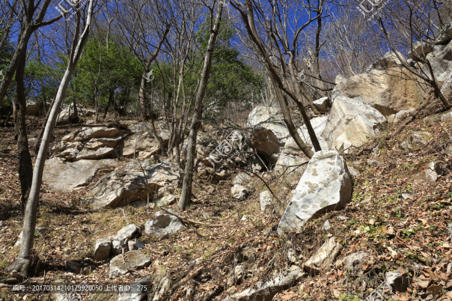 秦岭秘境万华山,高格