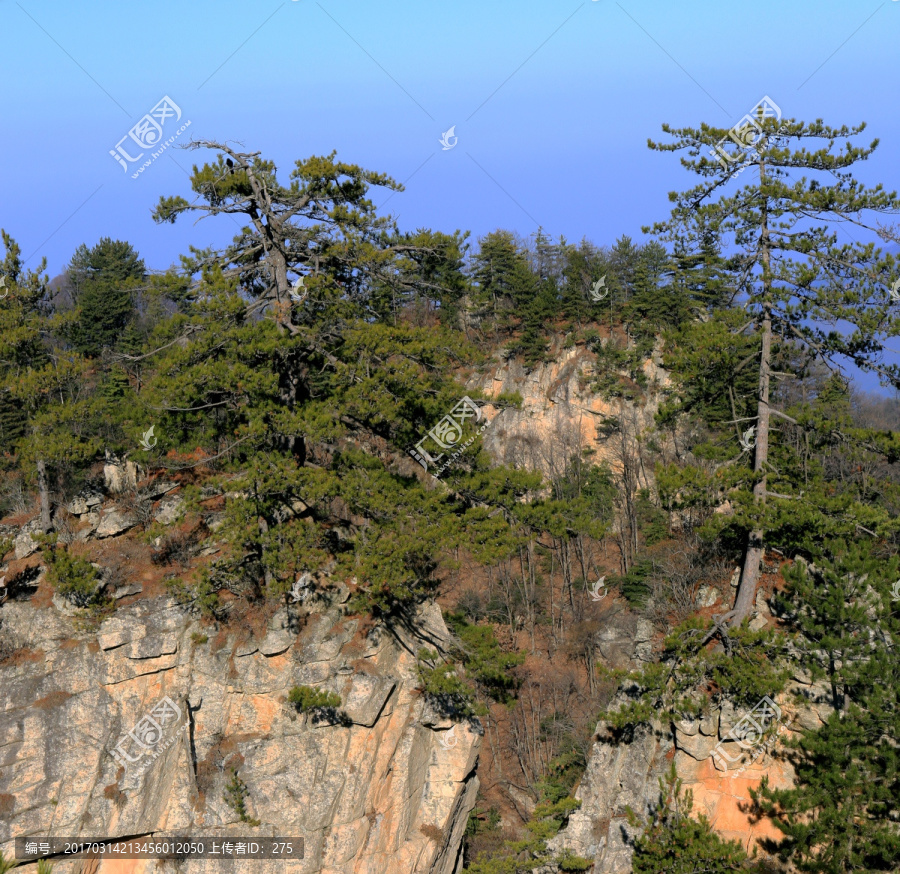 秦岭万华山,高格