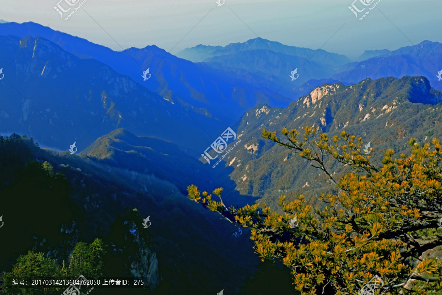 秦岭万华山 高格