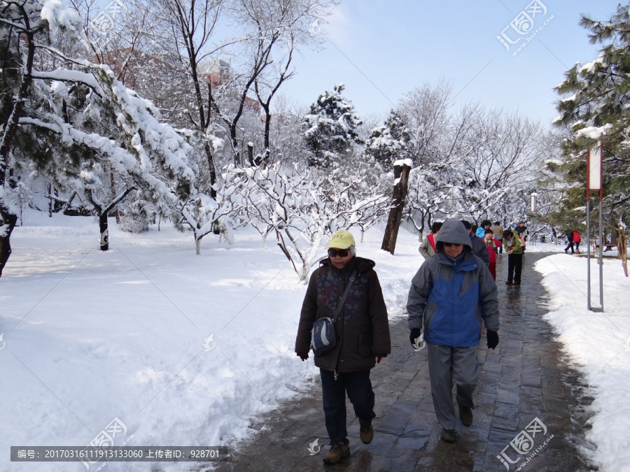 走入雪世界