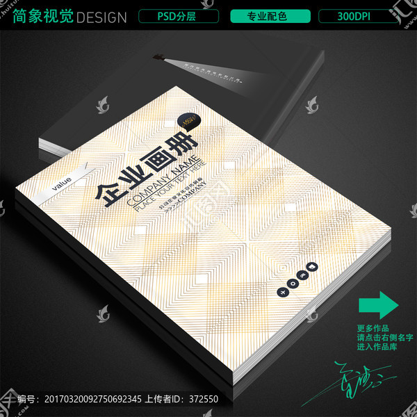 金色高端商务画册标书封面模板