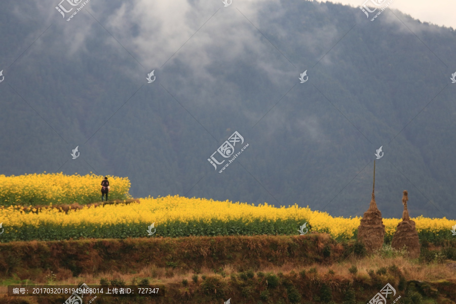 采花人