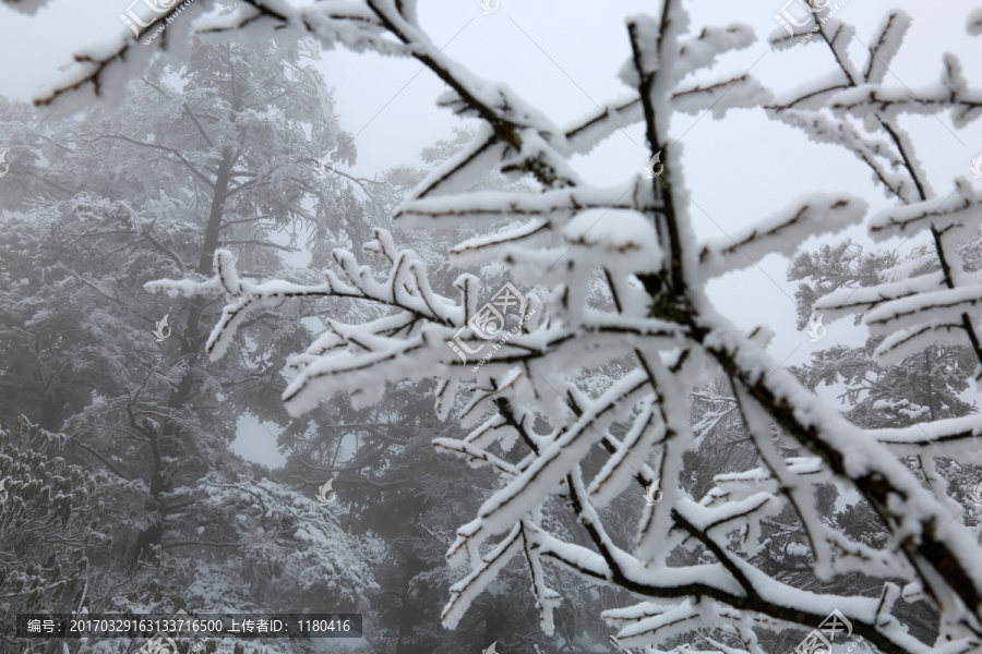 雪景