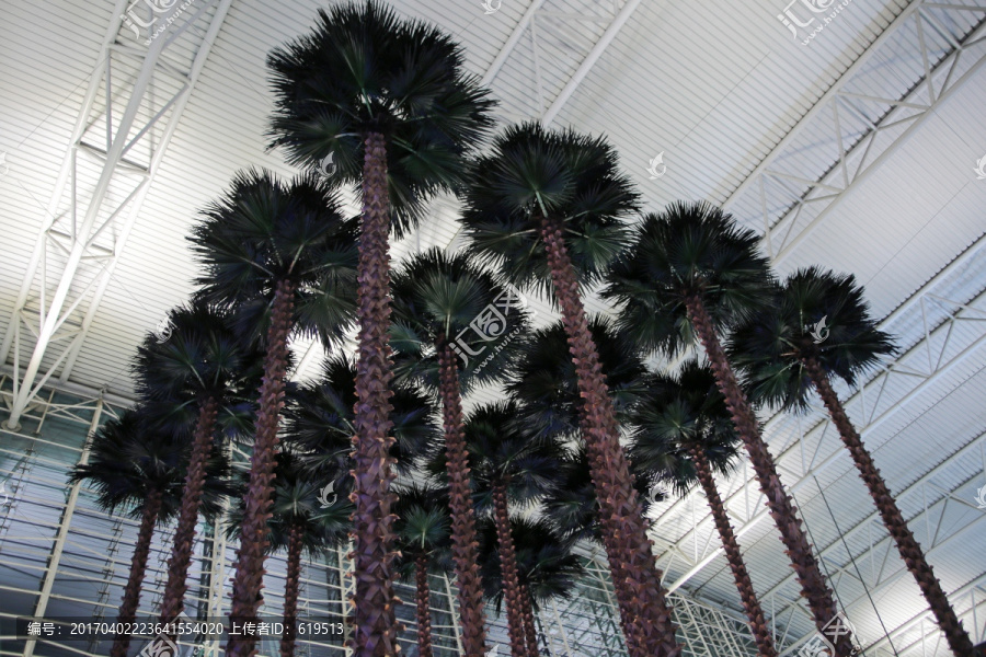 广州白云机场,航站楼,棕榈树