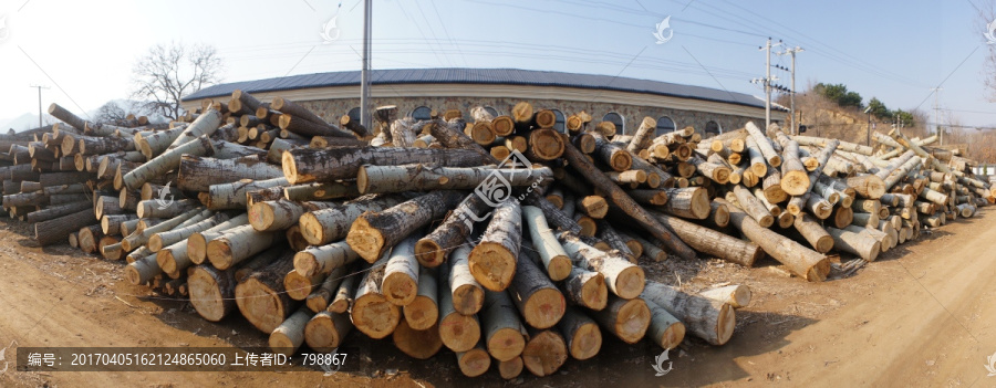 被破坏的森林木材