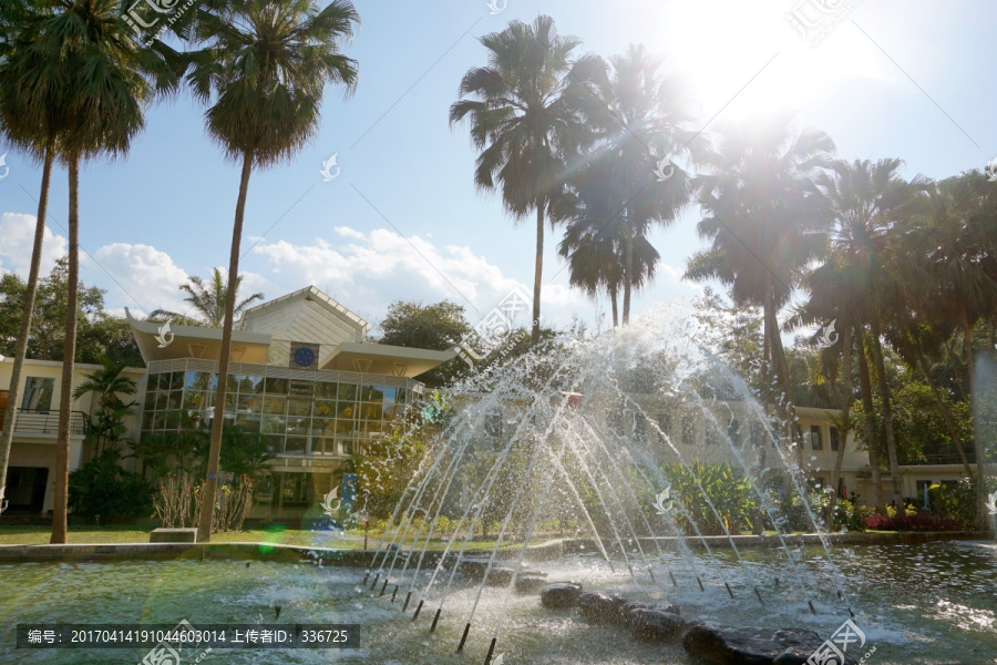 版纳植物园办公楼外景,池塘喷泉