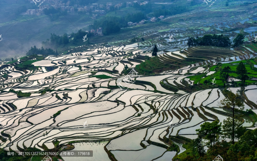 梯田,清晨