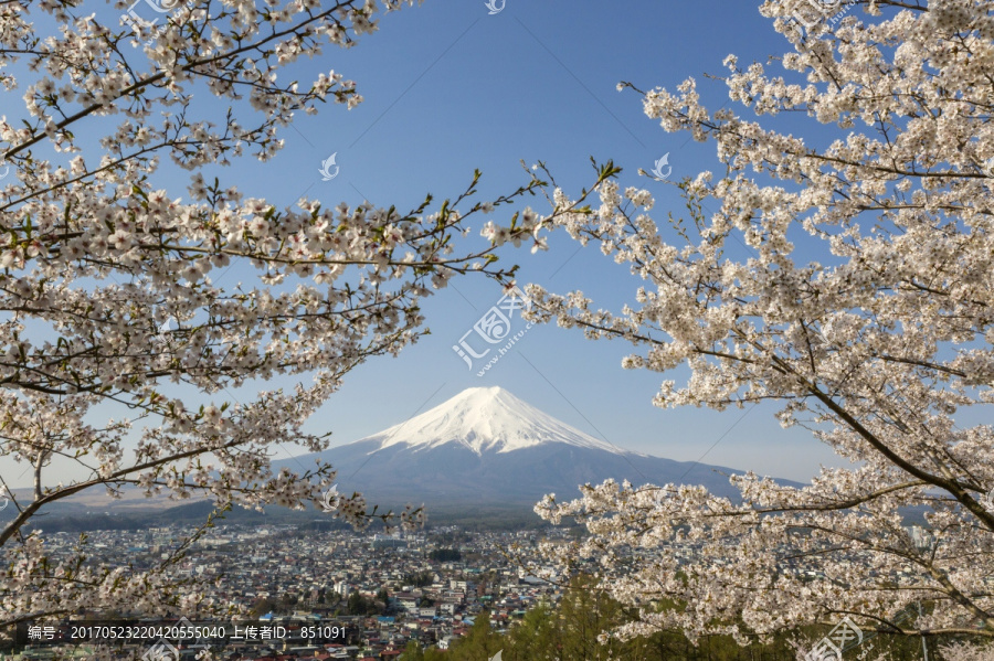 富士山