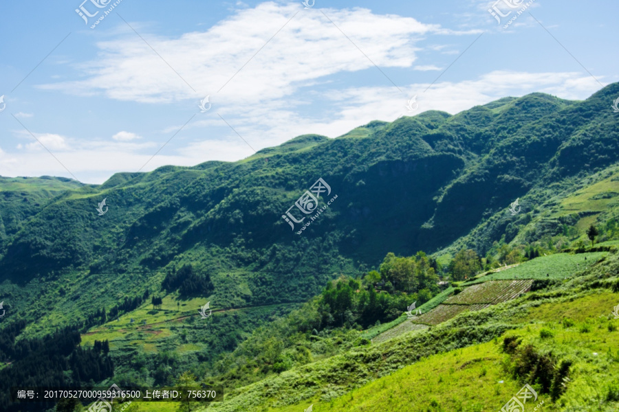 山地,青山