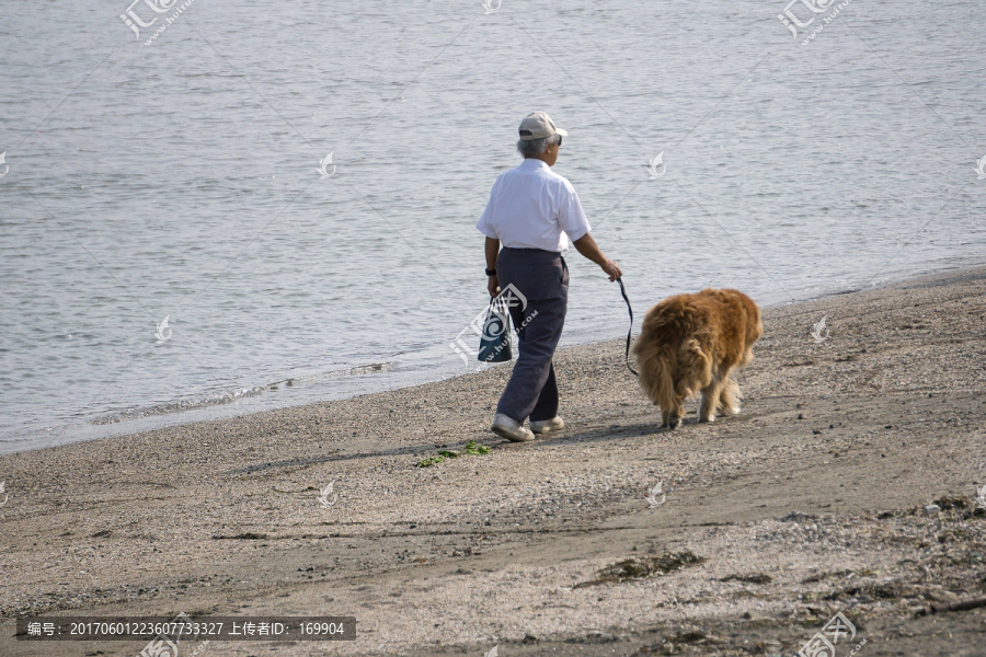老人,狗,散步
