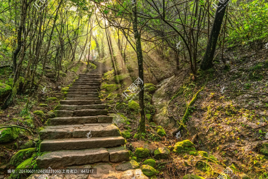 武夷山虎啸岩风景区