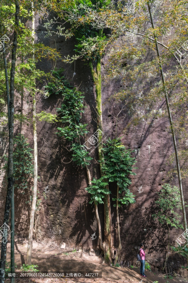 武夷山虎啸岩风景区