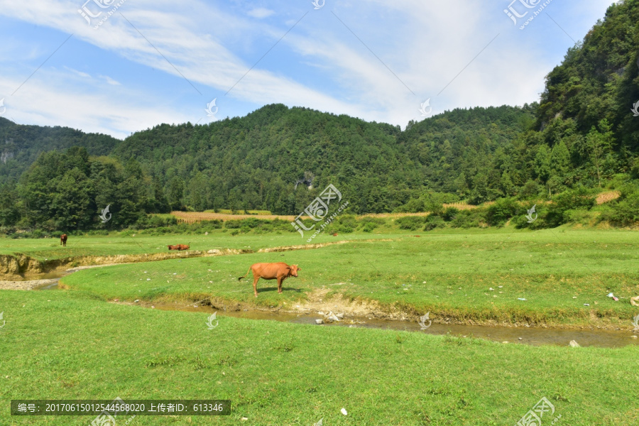 田园美丽景色