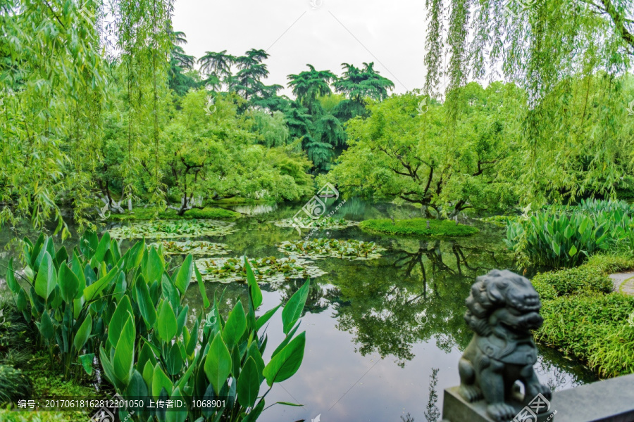 西湖万柳塘