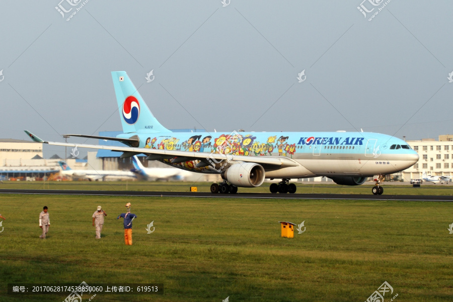 大韩航空,彩绘飞机