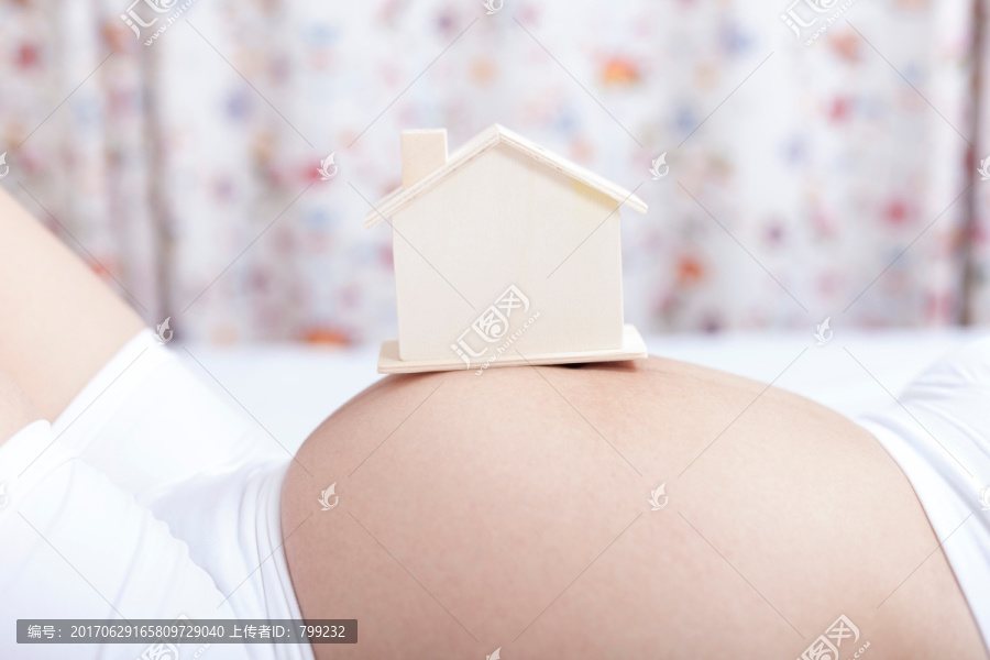 孕妇和房子模型