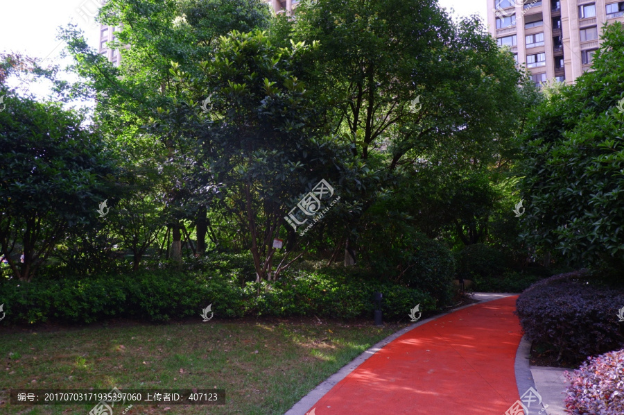 小区,建筑,庭院,园艺,草坪