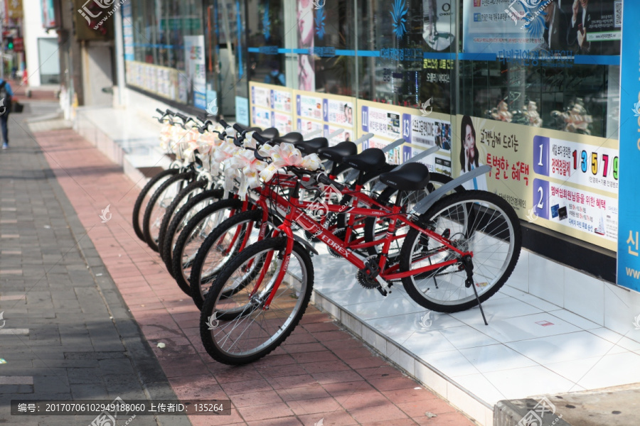 济州,骑行,骑车,单车,自行车