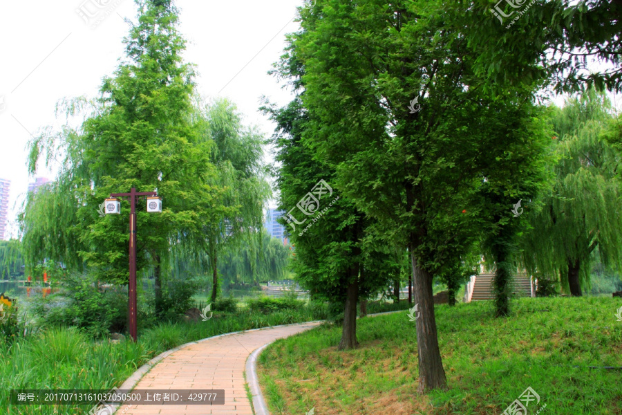 道路,公园风景,景区树木