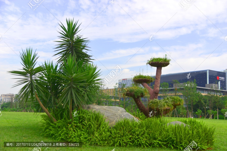 城市生态绿地,景观园林造景